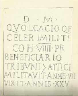 Stele di Quinto Volacio, Museo Civico