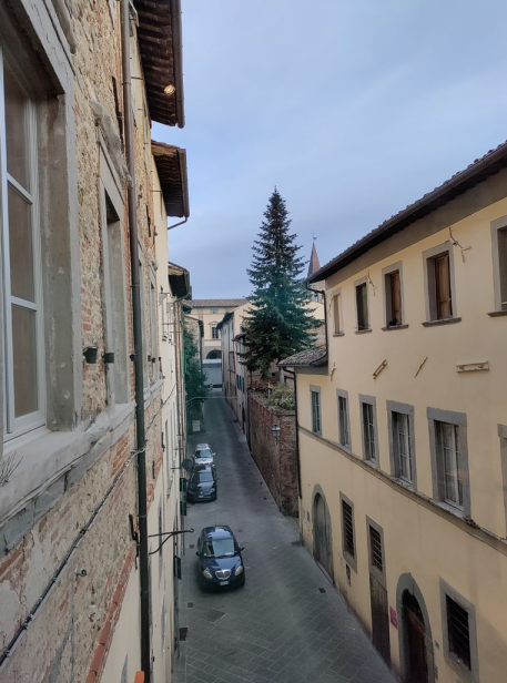 Via Giulia Boninsegni da palazzo Muglioni