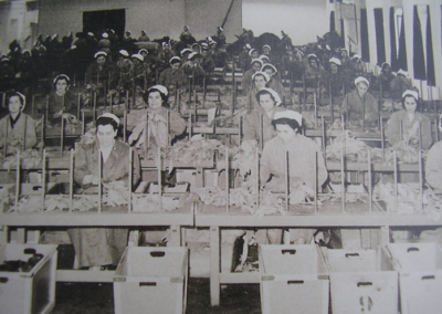 Vedute del magazzino dei tabacchi e operaie al lavoro